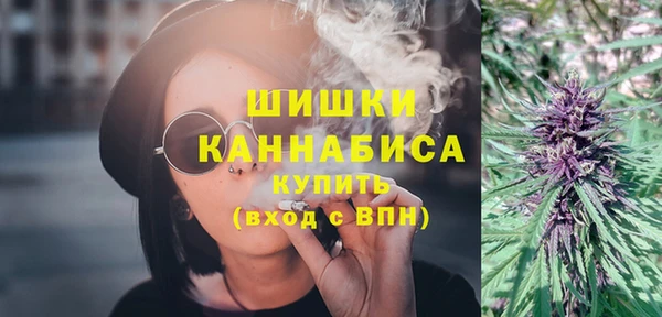 первитин Новодвинск